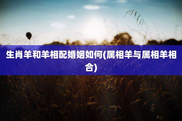 生肖羊和羊相配婚姻如何(属相羊与属相羊相合)
