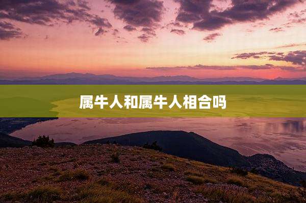 属牛人和属牛人相合吗