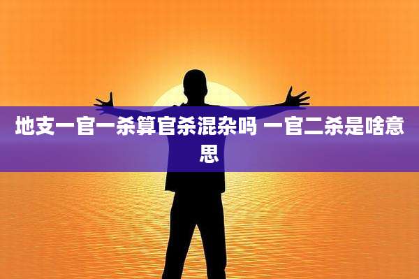 地支一官一杀算官杀混杂吗 一官二杀是啥意思