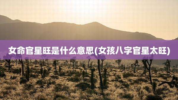 女命官星旺是什么意思(女孩八字官星太旺)