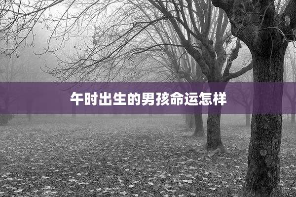 午时出生的男孩命运怎样