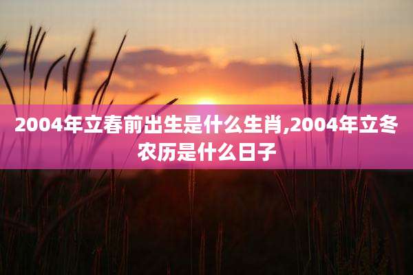 2004年立春前出生是什么生肖,2004年立冬农历是什么日子