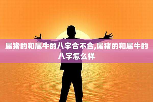 属猪的和属牛的八字合不合,属猪的和属牛的八字怎么样