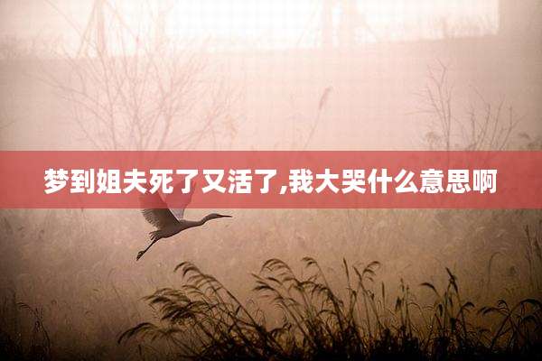 梦到姐夫死了又活了,我大哭什么意思啊