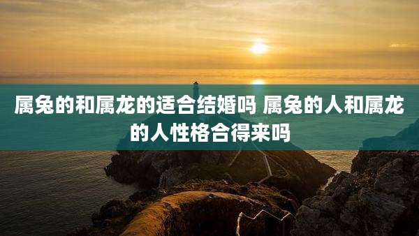 属兔的和属龙的适合结婚吗 属兔的人和属龙的人性格合得来吗
