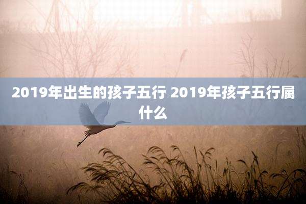 2019年出生的孩子五行 2019年孩子五行属什么