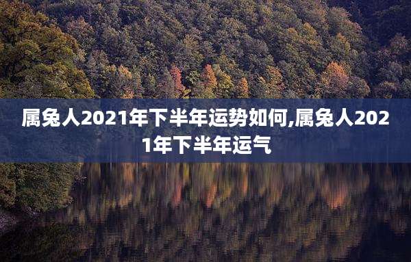 属兔人2021年下半年运势如何,属兔人2021年下半年运气