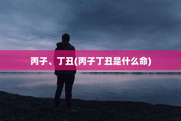 丙子、丁丑(丙子丁丑是什么命)