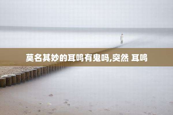 莫名其妙的耳鸣有鬼吗,突然 耳鸣