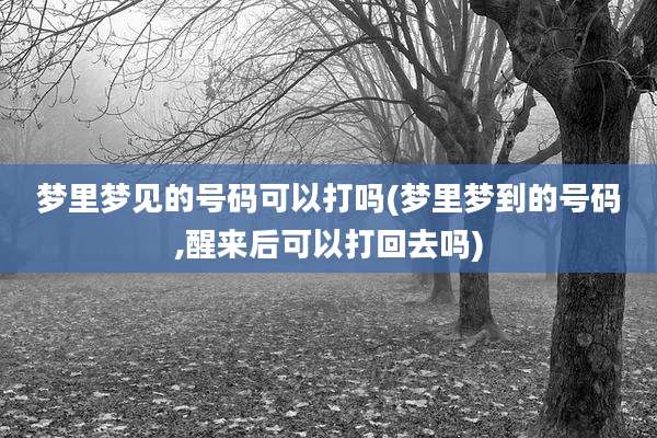 梦里梦见的号码可以打吗(梦里梦到的号码,醒来后可以打回去吗)