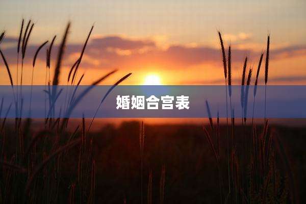 婚姻合宫表
