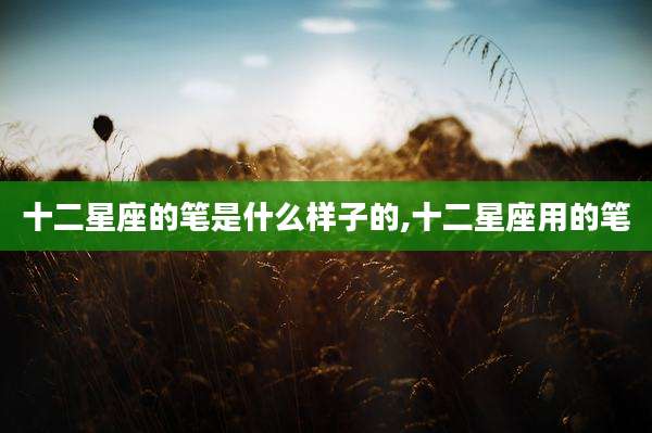 十二星座的笔是什么样子的,十二星座用的笔