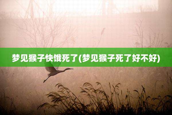 梦见猴子快饿死了(梦见猴子死了好不好)