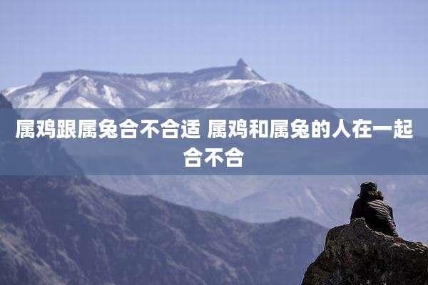 属鸡跟属兔合不合适 属鸡和属兔的人在一起合不合