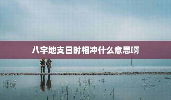 八字地支日时相冲什么意思啊