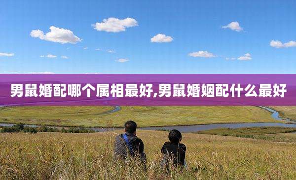 男鼠婚配哪个属相最好,男鼠婚姻配什么最好
