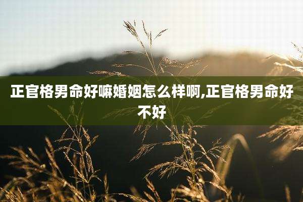 正官格男命好嘛婚姻怎么样啊,正官格男命好不好