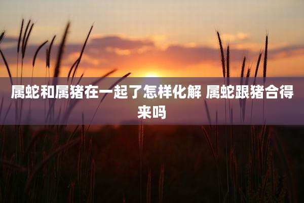 属蛇和属猪在一起了怎样化解 属蛇跟猪合得来吗