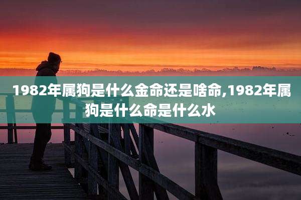 1982年属狗是什么金命还是啥命,1982年属狗是什么命是什么水