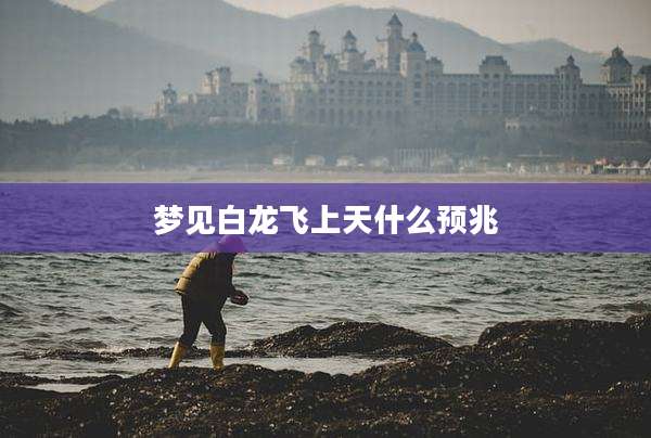 梦见白龙飞上天什么预兆