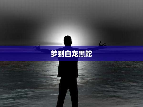 梦到白龙黑蛇