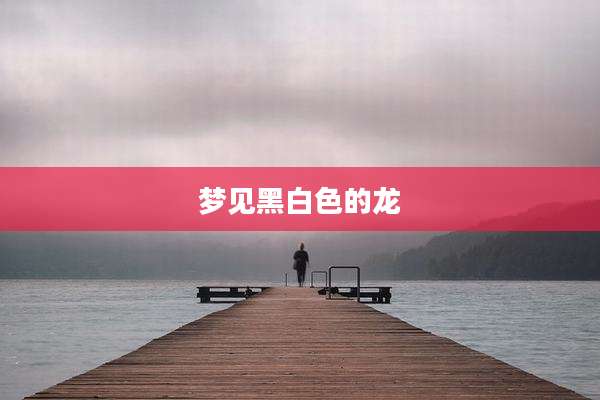 梦见黑白色的龙