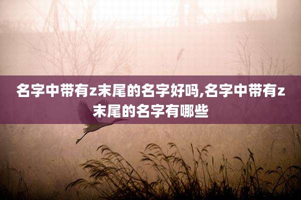 名字中带有z末尾的名字好吗,名字中带有z末尾的名字有哪些