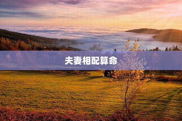 夫妻相配算命