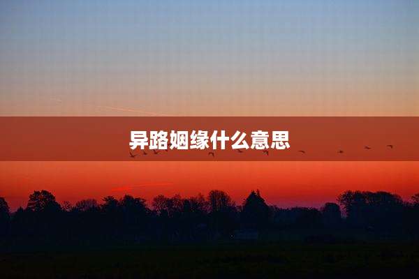 异路姻缘什么意思