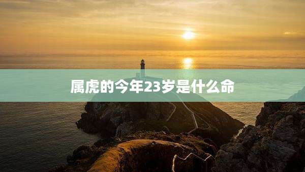属虎的今年23岁是什么命