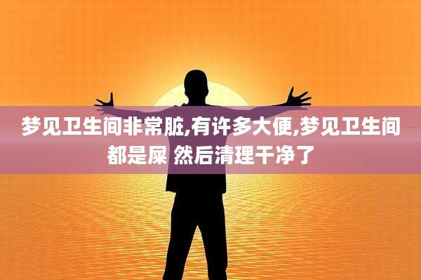 梦见卫生间非常脏,有许多大便,梦见卫生间都是屎 然后清理干净了