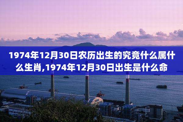 1974年12月30日农历出生的究竟什么属什么生肖,1974年12月30日出生是什么命