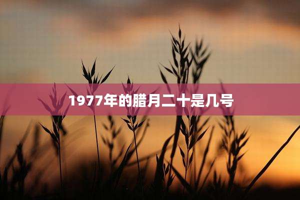 1977年的腊月二十是几号