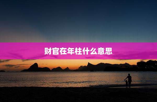 财官在年柱什么意思