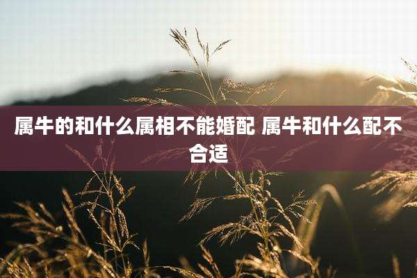属牛的和什么属相不能婚配 属牛和什么配不合适