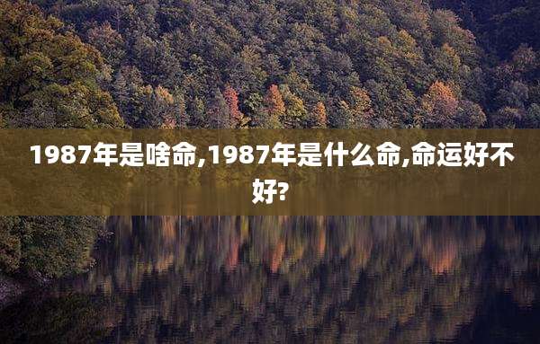 1987年是啥命,1987年是什么命,命运好不好?