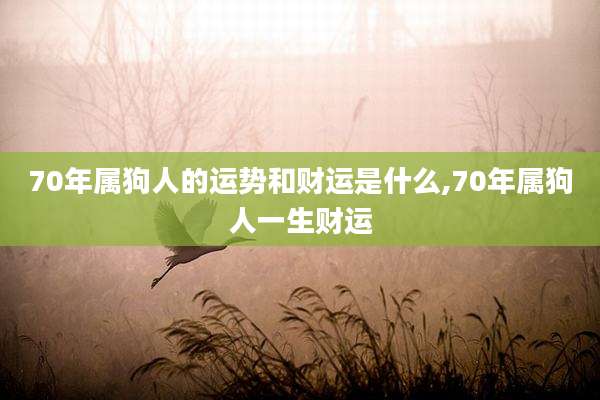 70年属狗人的运势和财运是什么,70年属狗人一生财运
