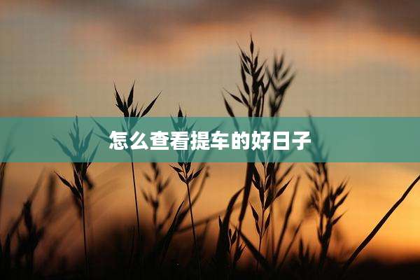 怎么查看提车的好日子
