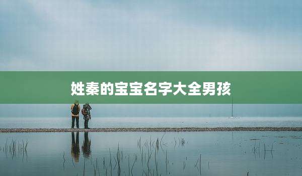 姓秦的宝宝名字大全男孩