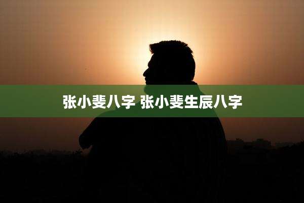 张小斐八字 张小斐生辰八字