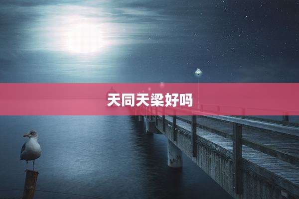 天同天梁好吗