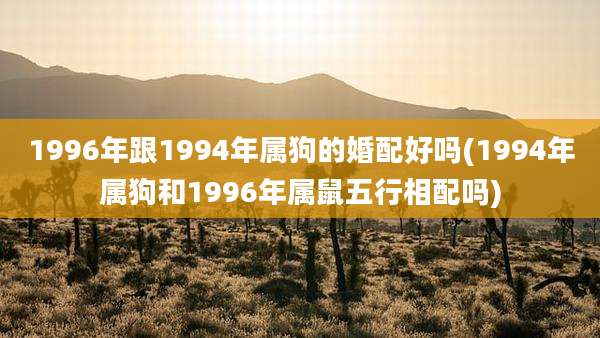 1996年跟1994年属狗的婚配好吗(1994年属狗和1996年属鼠五行相配吗)