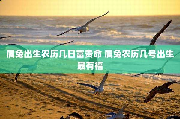 属兔出生农历几日富贵命 属兔农历几号出生最有福