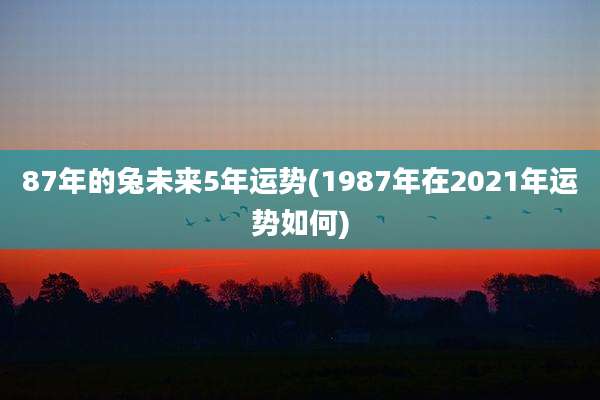 87年的兔未来5年运势(1987年在2021年运势如何)