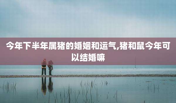 今年下半年属猪的婚姻和运气,猪和鼠今年可以结婚嘛