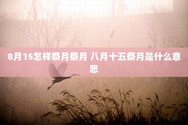 8月15怎样祭月祭月 八月十五祭月是什么意思