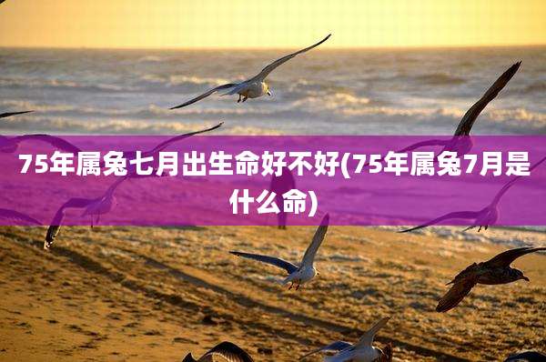 75年属兔七月出生命好不好(75年属兔7月是什么命)
