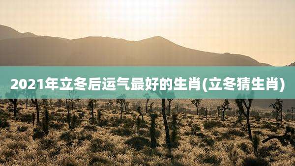 2021年立冬后运气最好的生肖(立冬猜生肖)