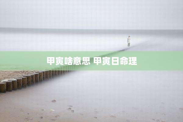 甲寅啥意思 甲寅日命理