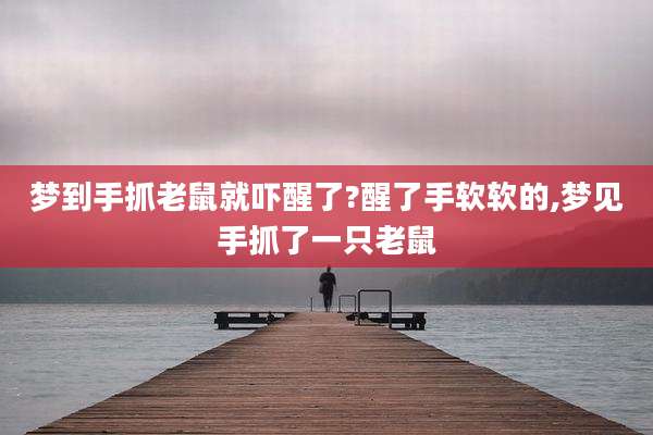 梦到手抓老鼠就吓醒了?醒了手软软的,梦见手抓了一只老鼠